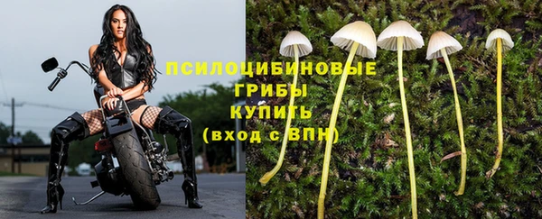 а пвп мука Верея