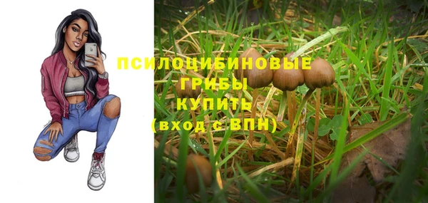ALPHA PVP Верхнеуральск