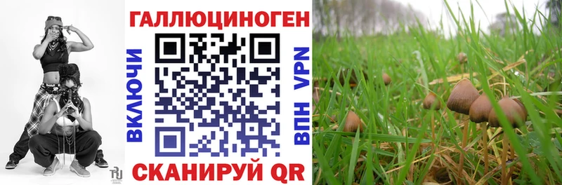 Галлюциногенные грибы ЛСД  Елизово 