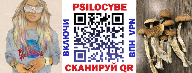 Псилоцибиновые грибы Cubensis Елизово