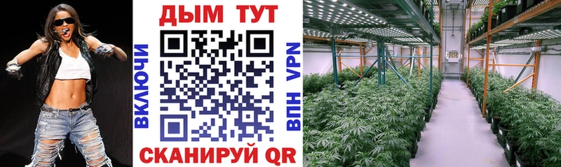 Конопля семена магазин Елизово